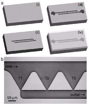 Image of experimental-micro-2