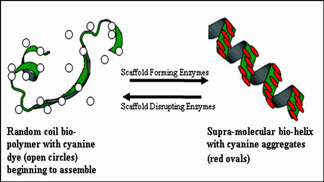 Image of nano2-2