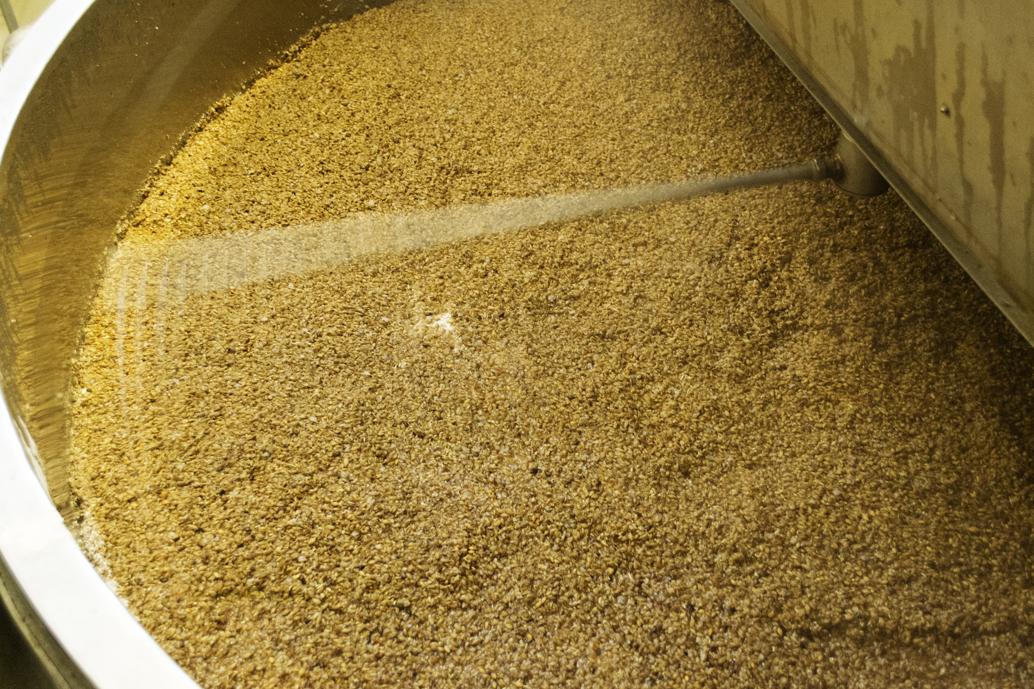 One-Pot Bioconversion of Distiller's Grains to Advanced Biofuels