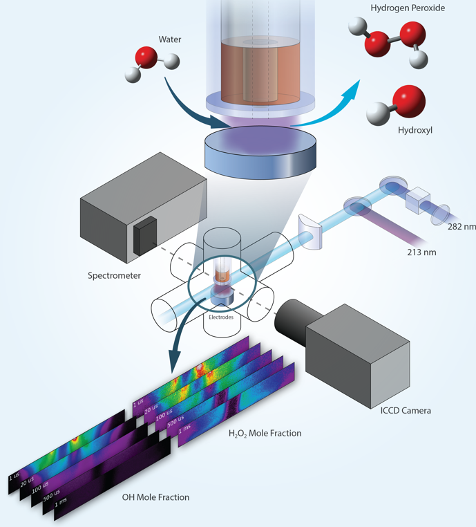 Quantitative 2D imaging of the spatial and temporal evolution of hydrogen peroxide (H2O2) and the hydroxyl radical (OH) in a nanosecond pulsed dielectric barrier discharge (DBD) jet plasma using photofragmentation laser-induced fluorescence and laser-induced fluorescence, respectively. Image courtesy of Sandia National Laboratories.