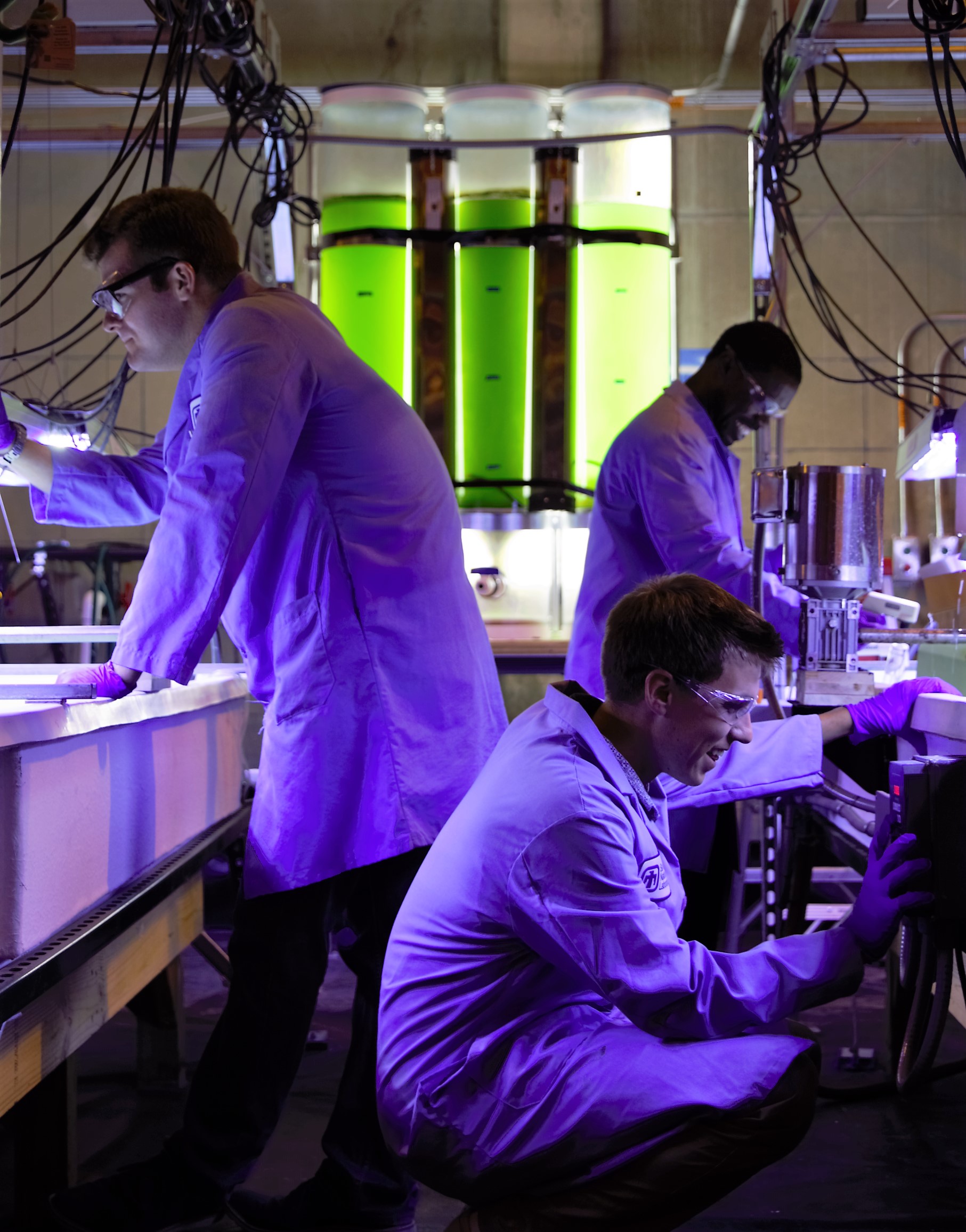 3 researchers stand backlit by purple light which is contrasted by the green algae tanks and raceways they stand adjacent to