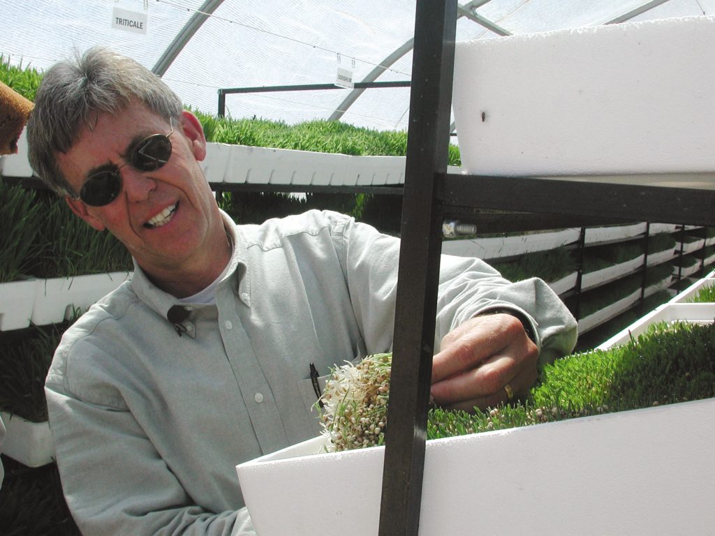 FRUGAL FORAGE — Ron Pate of Sandia National Laboratories checks a tray of forage in a greenhouse just north of the U.S.-Mexico border in Santa Teresa, New Mexico.