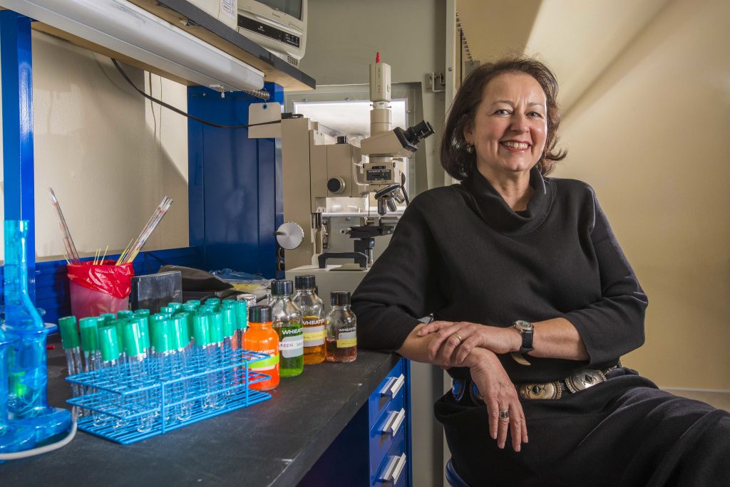 Sandia chemical engineer Nancy Jackson has worked in laboratories around the world to help ensure that chemicals are used safely and kept secure. The American Association for the Advancement of Science is honoring her with the 2013 Science Diplomacy Award on Friday, Feb. 15. (Photo by Randy Montoya) Click on the thumbnail for a high-resolution image.