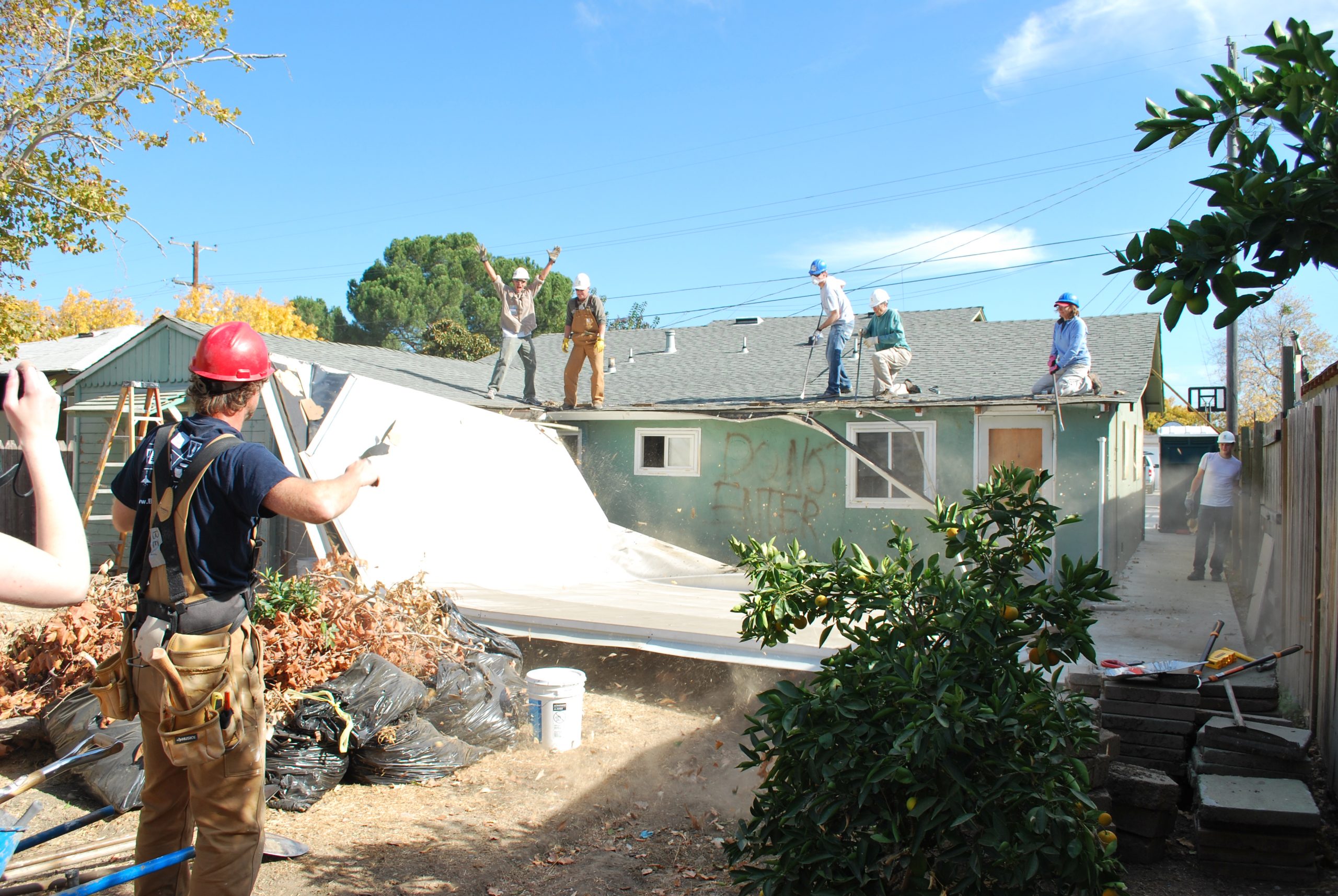 Habitat build photo