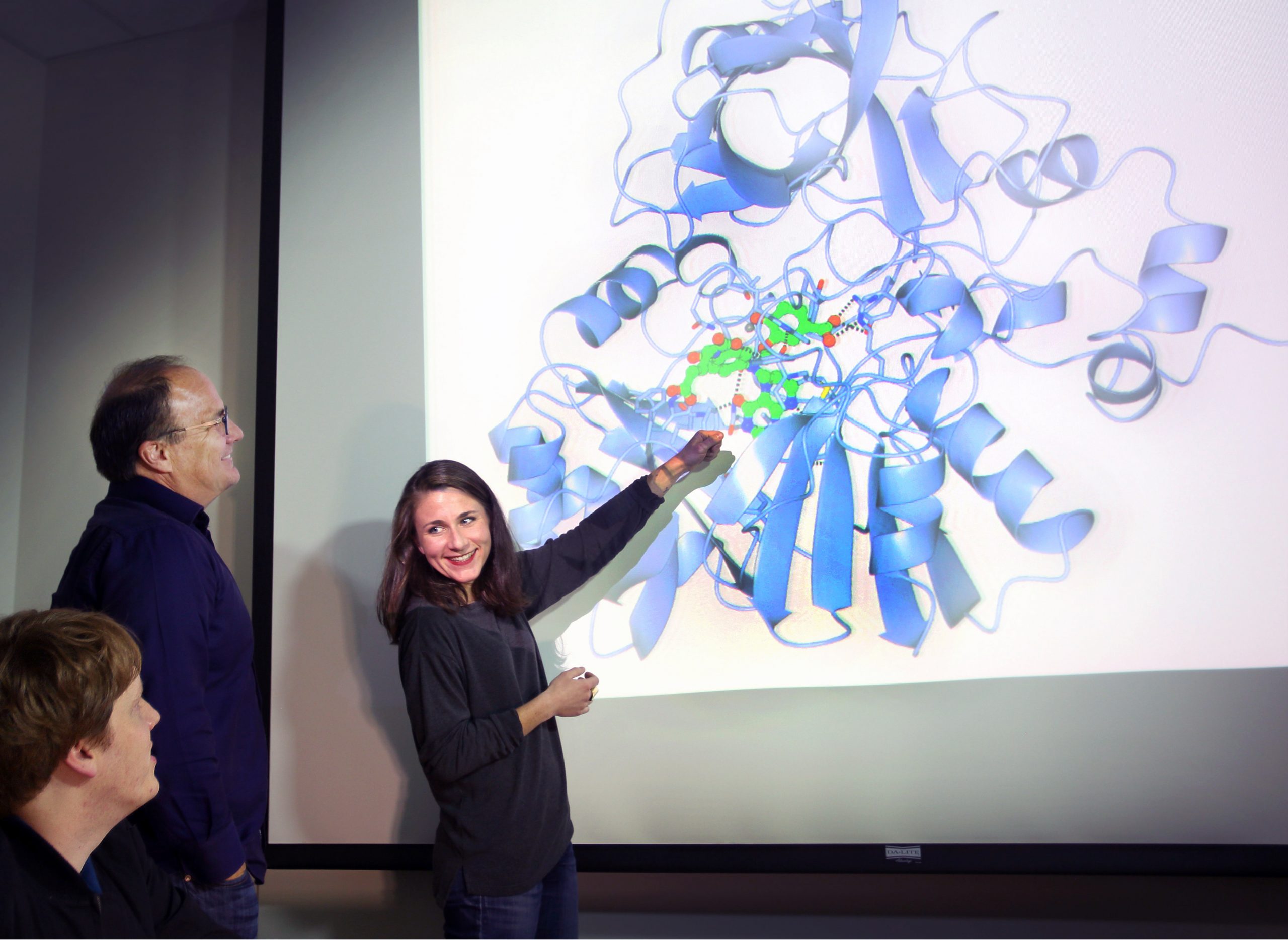 Sandia National Laboratories researchers Matthew Mills, left, and Ken Sale, center, look on as researcher Amanda Kohler points toward a model of LigM, an enzyme whose structure they have solved. (Image by Dino Vournas).