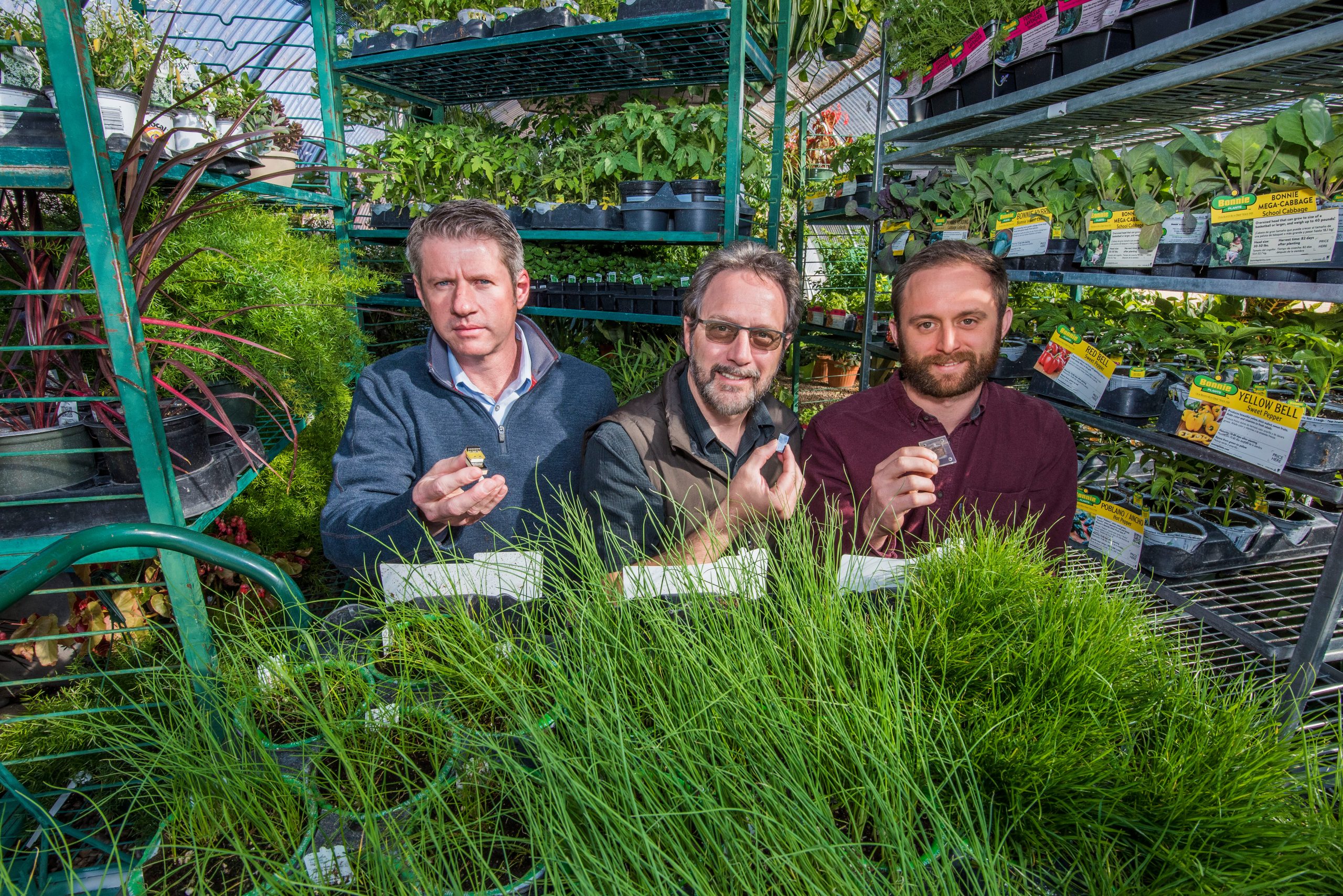 Ronen Polsky, Ron Manginell, and Philip Miller hold tiny sensors surrounded by a warehouse of plants.