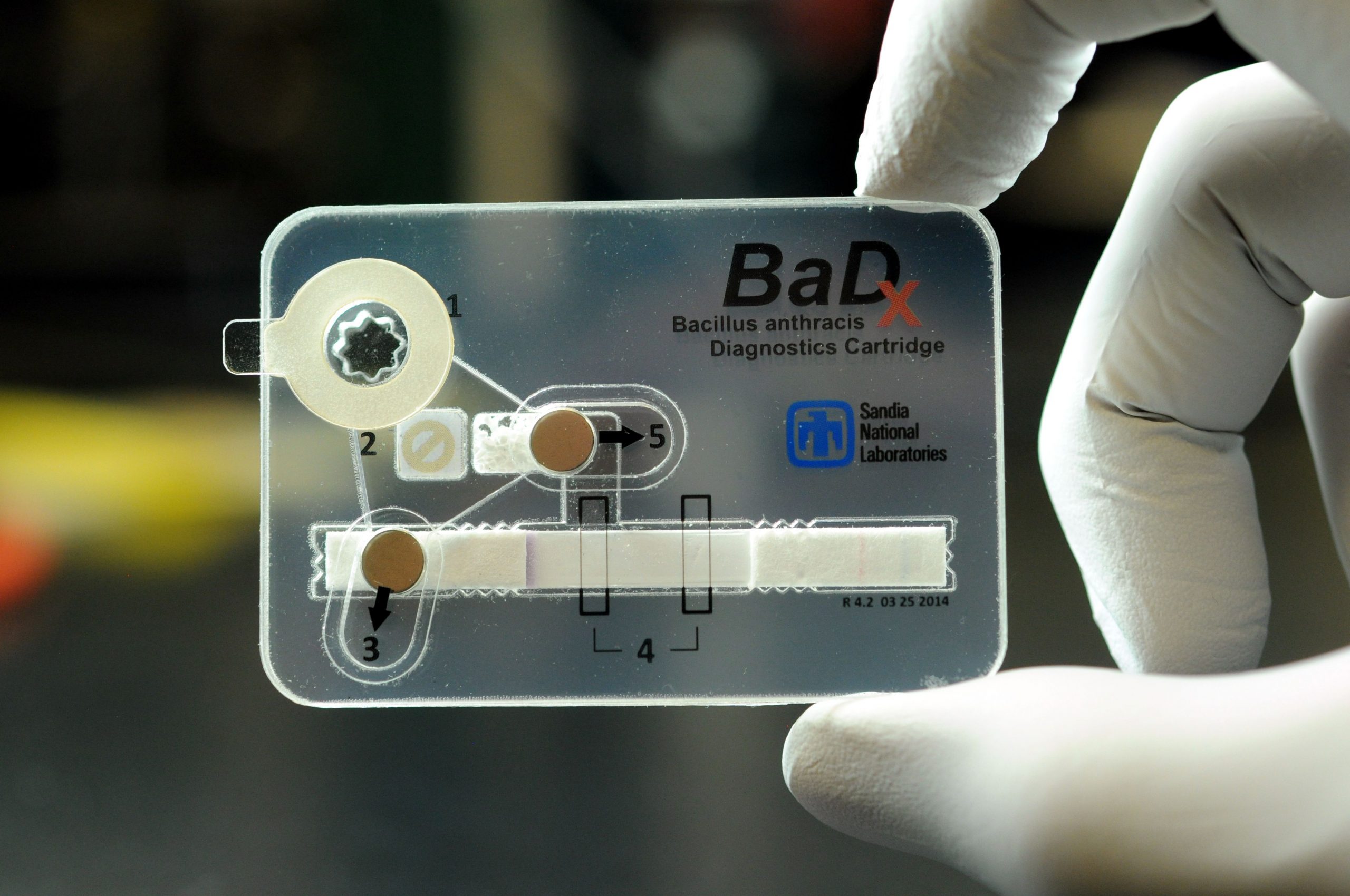 BaDx, the pocket-sized anthrax assay