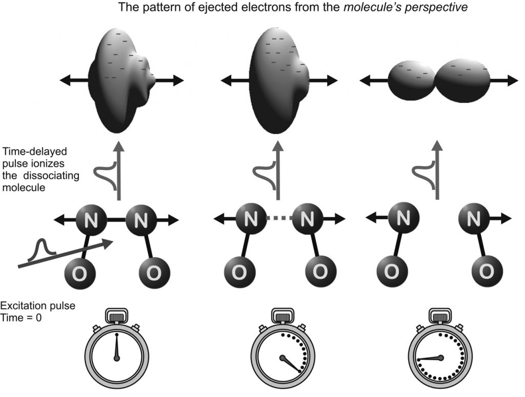 The pattern of ejected electrons from the molecule's perspective