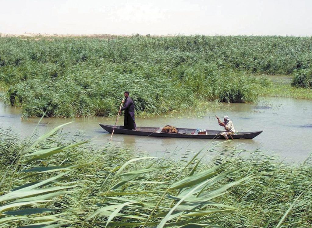 Marsh Arabs poling a traditional mashoof