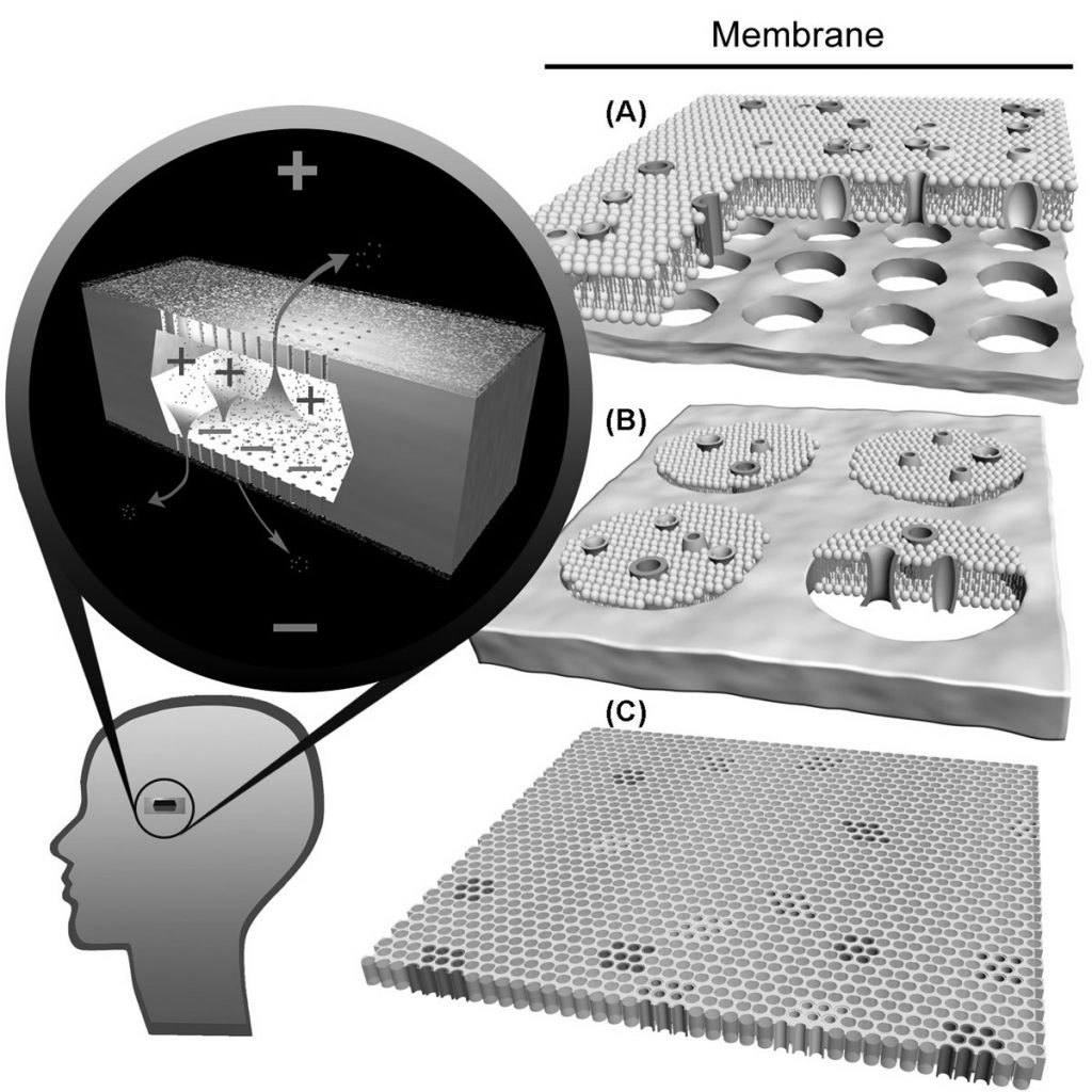 Schematic of nanobattery that would be implanted in or near the eye.