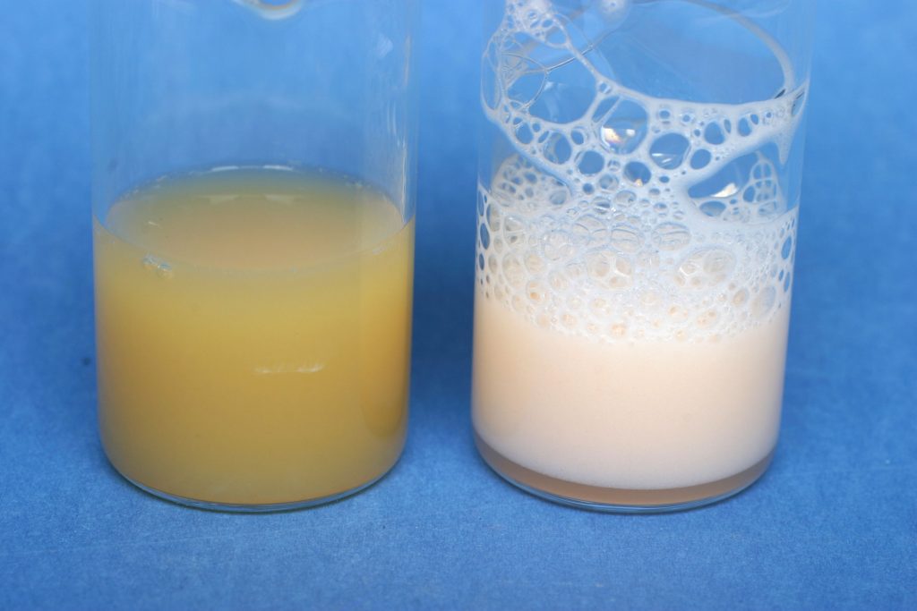 Left, an intact emulsion. Right, the emulsion is broken after the cleavable surfactant is degraded by heating.