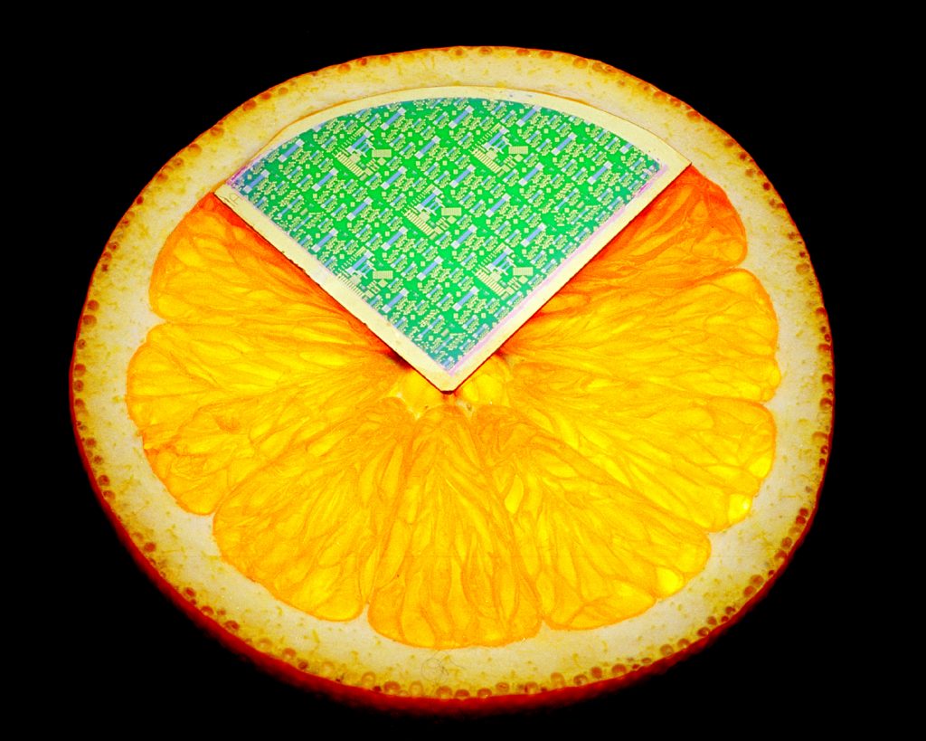 ORANGE YOU TINY? -- Some 30 individual chips with acoustic wave sensors make up this quarter of a wafer, which fits nicely on an orange slice.