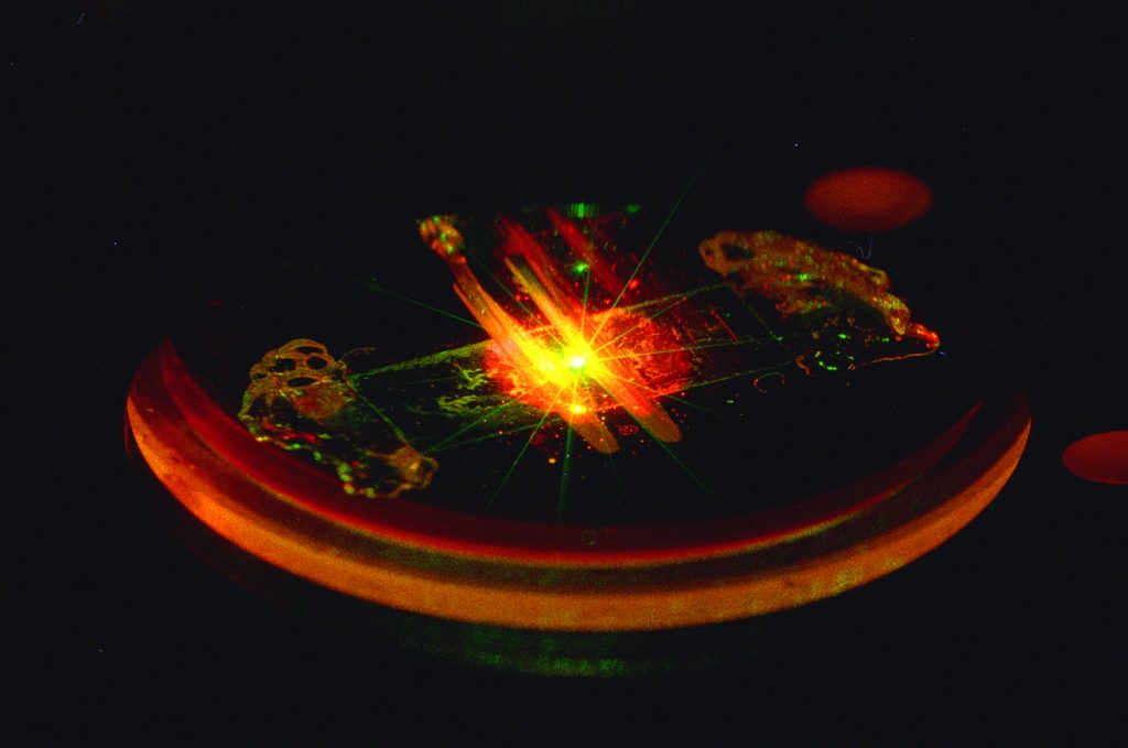 LAB ON A CHIP COMES CLOSER - A biocavity laser - a VCSEL capped by a glass plate enclosing a blood sample, all about the size of a quarter - is excited by a pump laser in Paul Gourley's lab. The VCSEL device can produce information about the state of millions of blood cells in a few minutes.