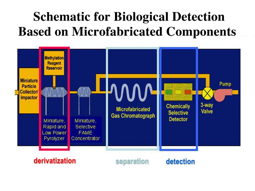 detector schematic