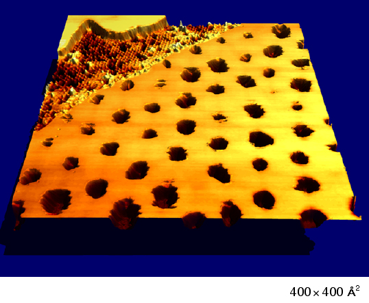 This micrograph of the lattice-work structure studied by the Sandia team shows an array of holes that sulfur islands have pierced in a film of silver, creating a self-organizing pattern.