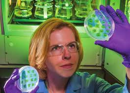 Photo of Anne Ruffing