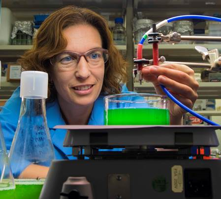 Photo of Jeri Timlin